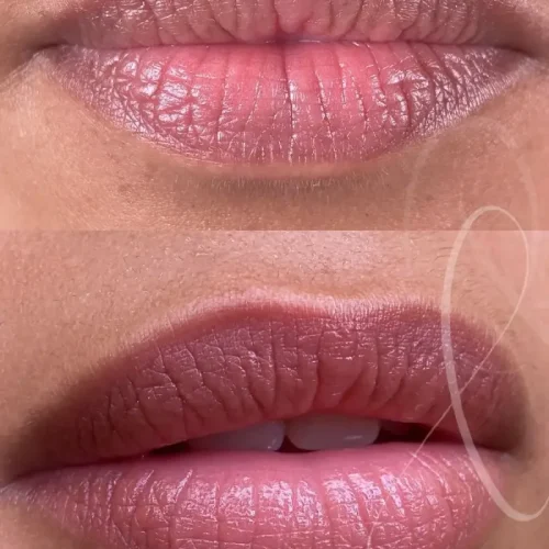 51-rcksr57923whg39phv9l7i6erx5mlekor6sdbm24tc